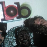 Lobo + Zooacquario